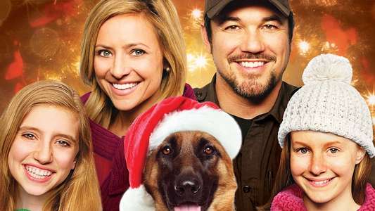 Holiday Miracle - Backdrop
