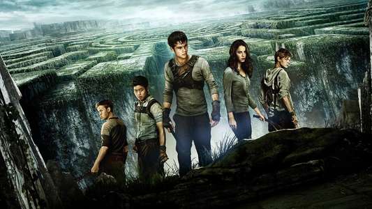The Maze Runner - Backdrops