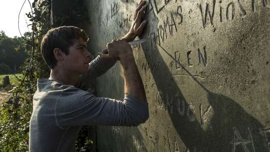 The Maze Runner - Backdrops