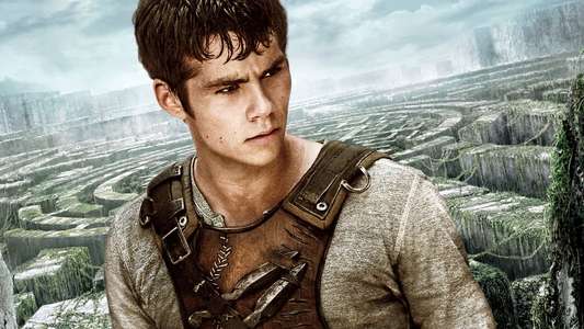 The Maze Runner - Backdrops