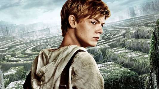 The Maze Runner - Backdrops