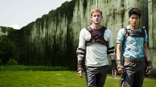 The Maze Runner - Backdrops