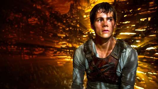 The Maze Runner - Backdrops