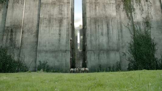 The Maze Runner - Backdrops