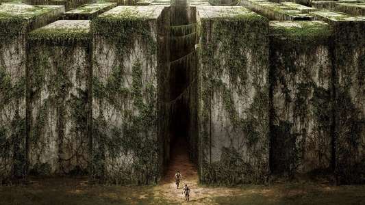 The Maze Runner - Backdrops