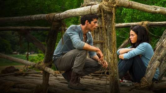 The Maze Runner - Backdrops