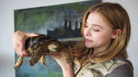 Laggies - Backdrop