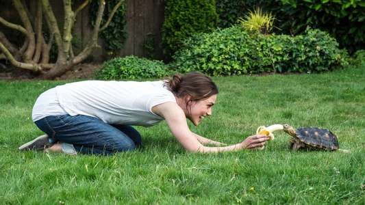 Laggies - Backdrop