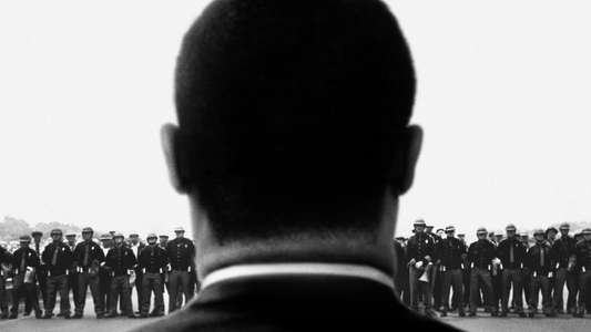 Selma - Backdrop