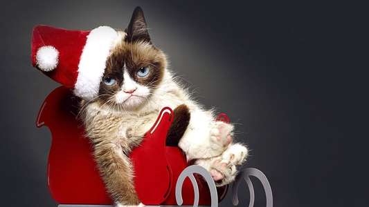 Grumpy Cat's Worst Christmas Ever - Backdrop