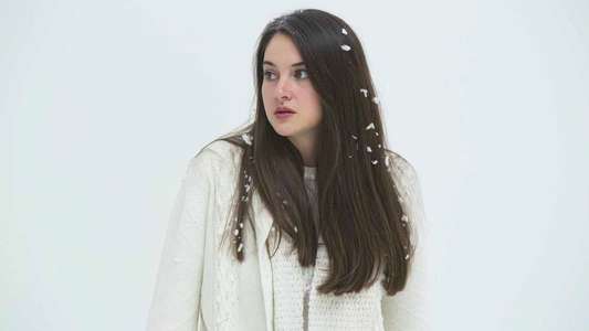 White Bird in a Blizzard - Backdrop