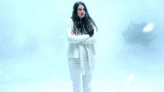 White Bird in a Blizzard - Backdrop