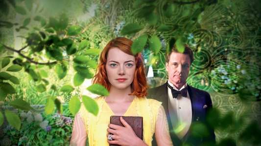 Magic in the Moonlight - Backdrop