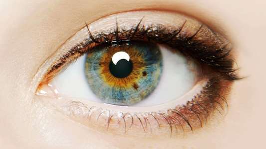 I Origins - Backdrop