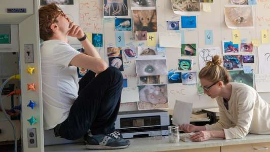 I Origins - Backdrop
