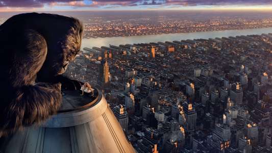 King Kong - Backdrops