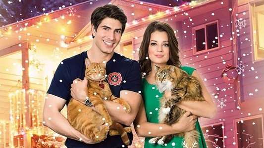 The Nine Lives of Christmas - Backdrop