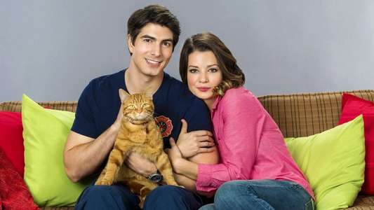 The Nine Lives of Christmas - Backdrop