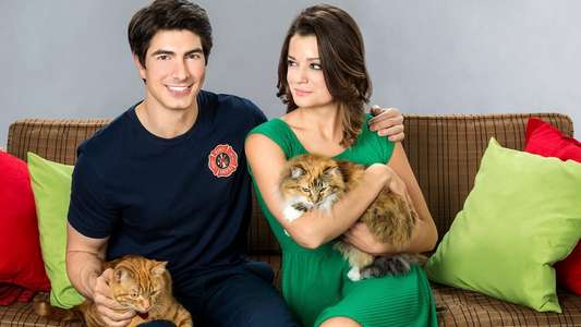 The Nine Lives of Christmas - Backdrop