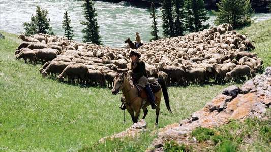 Brokeback Mountain - Backdrops