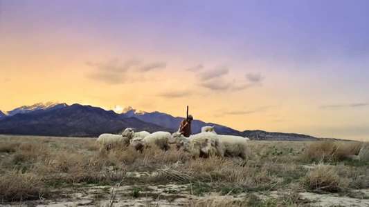 No Ordinary Shepherd - Backdrop