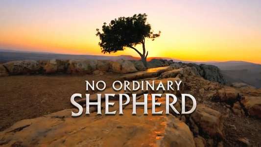No Ordinary Shepherd - Backdrop