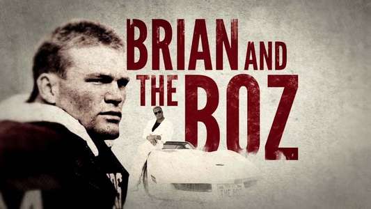 Brian and the Boz - Backdrop