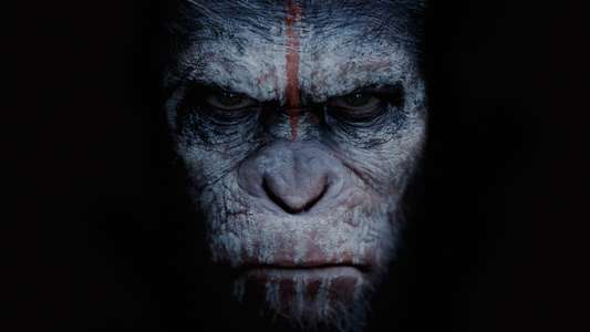 Dawn of the Planet of the Apes - Backdrops