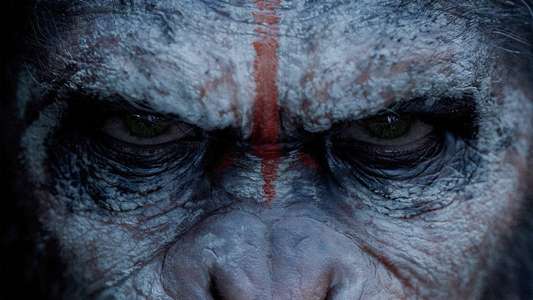 Dawn of the Planet of the Apes - Backdrops