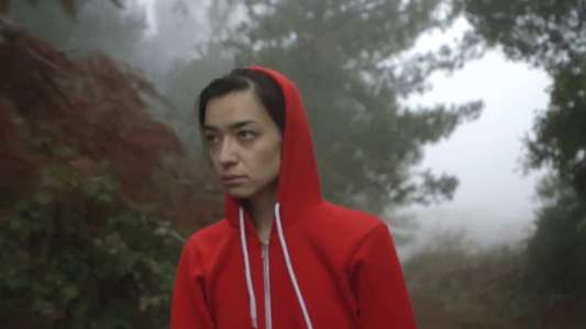 Felt - Backdrop