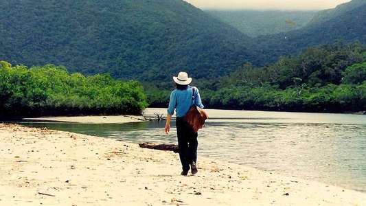 Lost Soul: The Doomed Journey of Richard Stanley's Island of Dr. Moreau - Backdrop