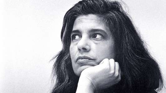 Regarding Susan Sontag - Backdrop