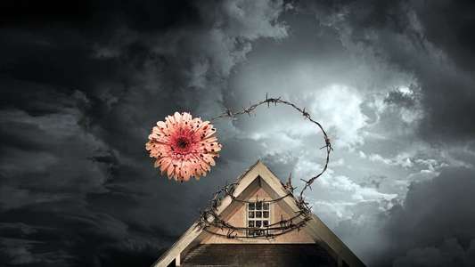 Petals on the Wind - Backdrop