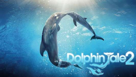 Dolphin Tale 2 - Backdrop