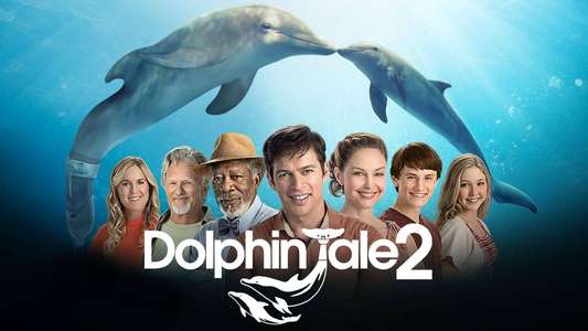 Dolphin Tale 2 - Backdrop