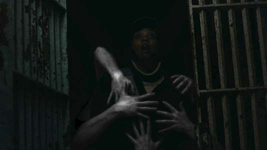 Haunting of Cellblock 11 - Backdrop