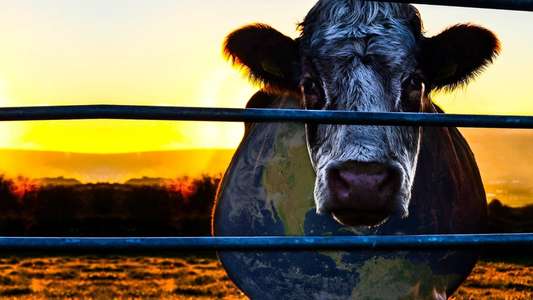 Cowspiracy: The Sustainability Secret - Backdrop