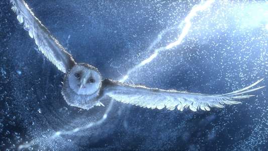 Legend of the Guardians: The Owls of Ga'Hoole - Backdrop