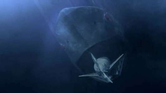Mega Shark vs. Mecha Shark - Backdrop