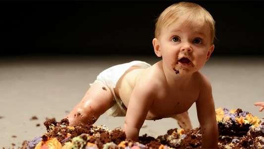 Secret Life of Babies - Backdrop
