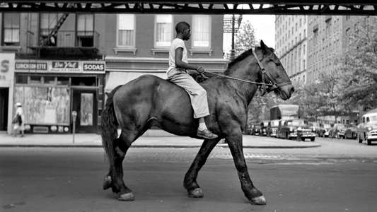 Finding Vivian Maier - Backdrop