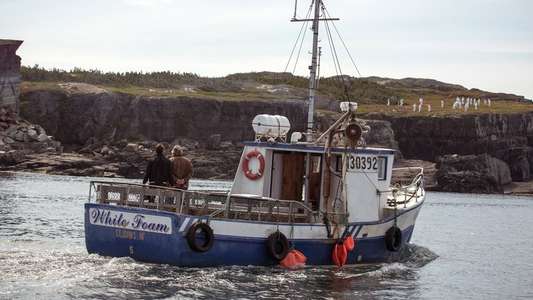 The Grand Seduction - Backdrop