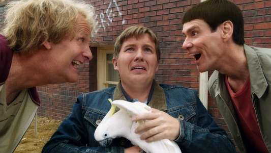 Dumb and Dumber To - Backdrop