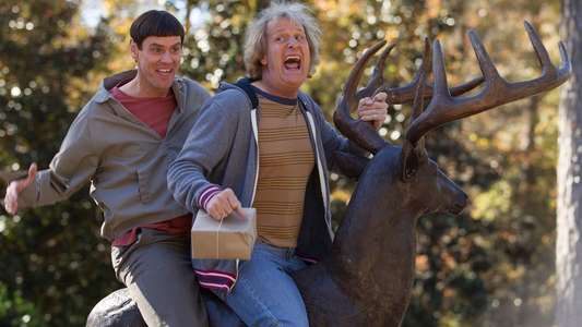 Dumb and Dumber To - Backdrop