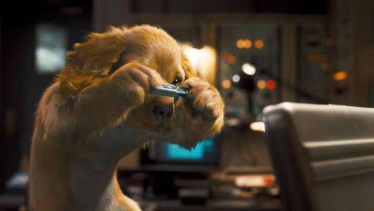 Cats & Dogs: The Revenge of Kitty Galore - Backdrop