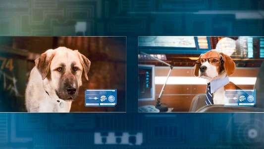 Cats & Dogs: The Revenge of Kitty Galore - Backdrop