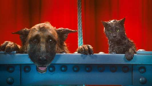 Cats & Dogs: The Revenge of Kitty Galore - Backdrop