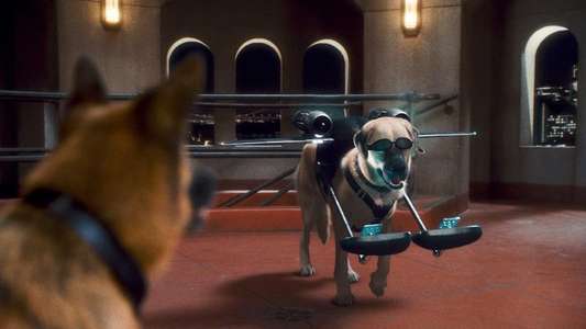 Cats & Dogs: The Revenge of Kitty Galore - Backdrop