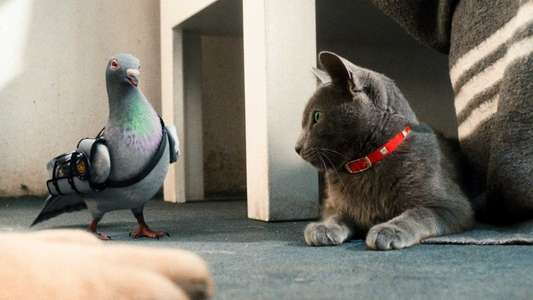Cats & Dogs: The Revenge of Kitty Galore - Backdrop