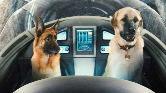 Cats & Dogs: The Revenge of Kitty Galore - Backdrop